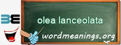 WordMeaning blackboard for olea lanceolata